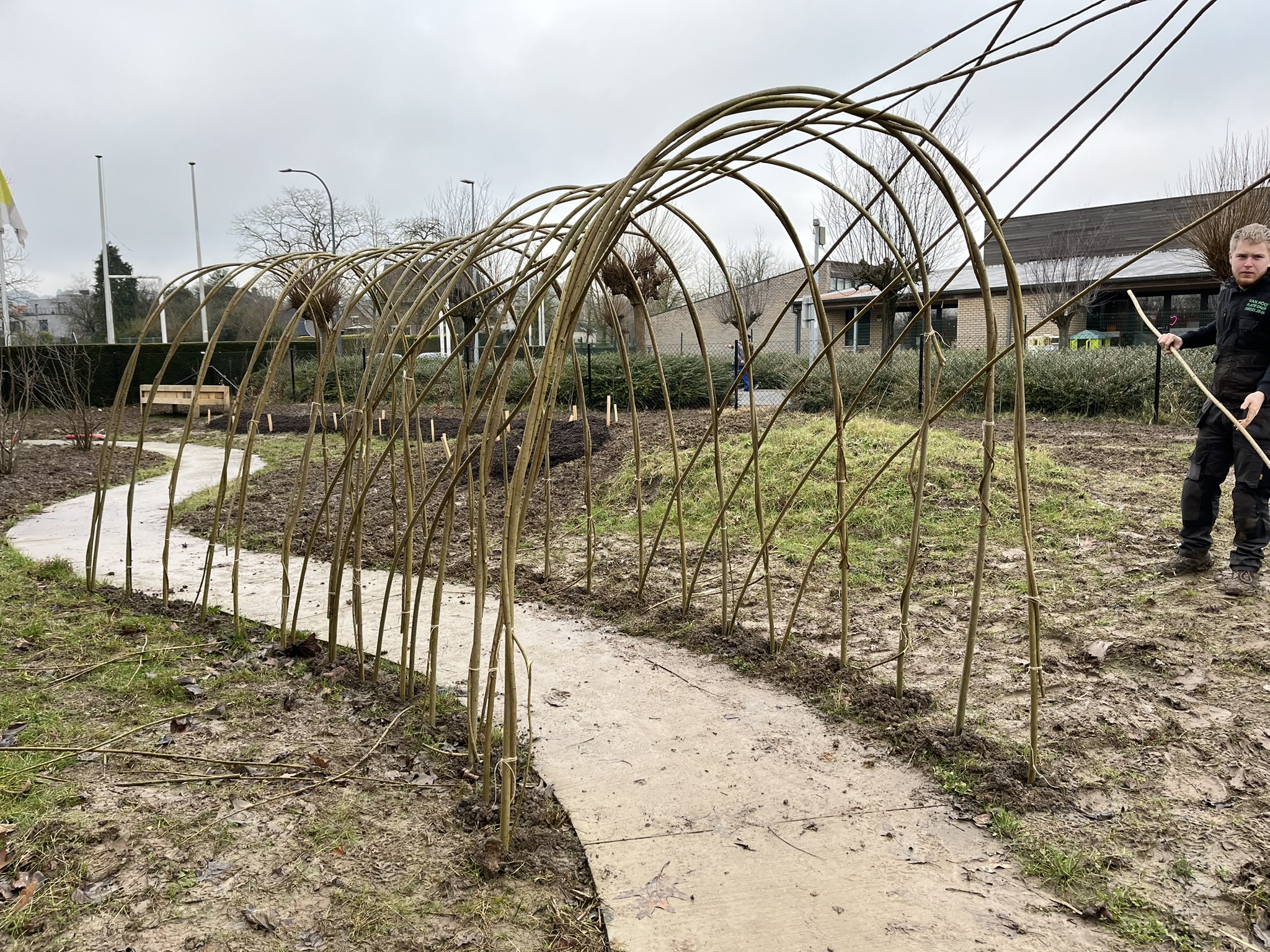 Wilgentunnel CAR Ronse najaar 2024