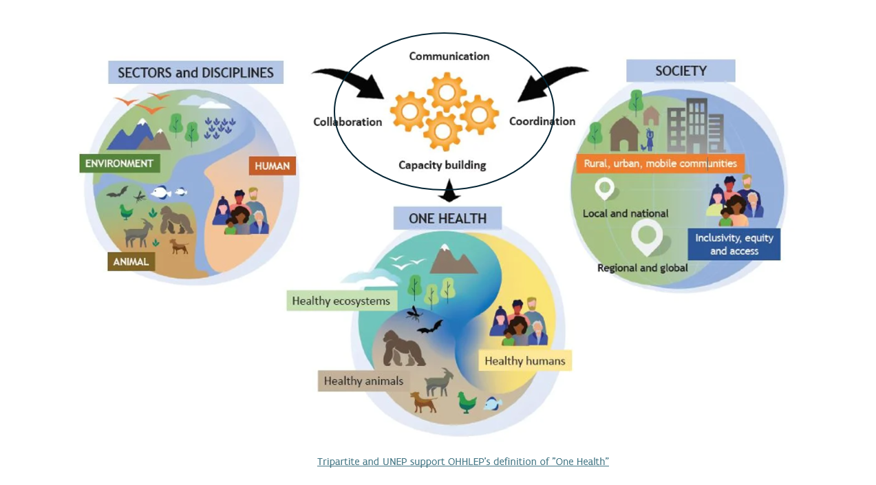 One Health model