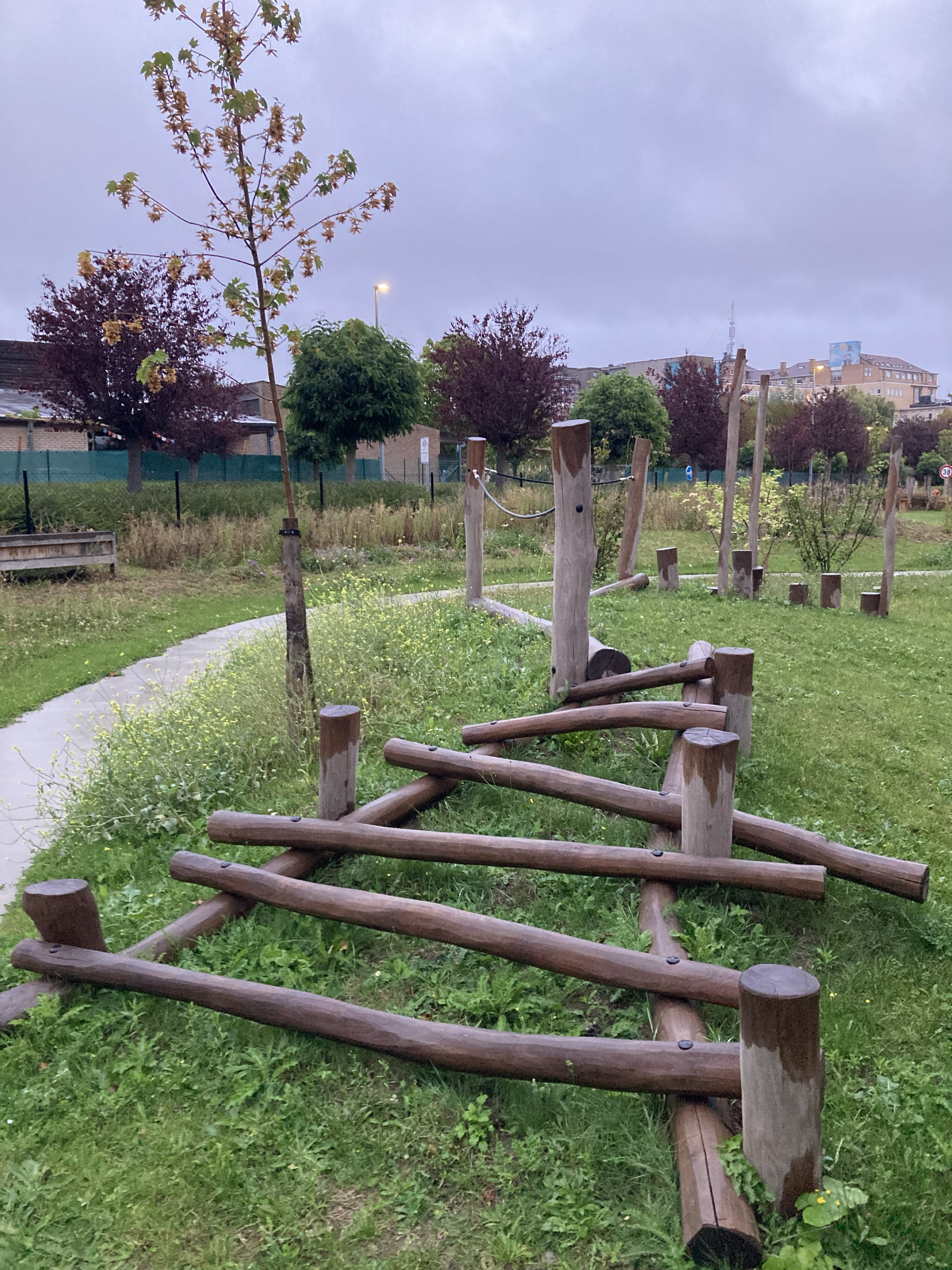 CAR Glorieux eerste groeiseizoen sept25