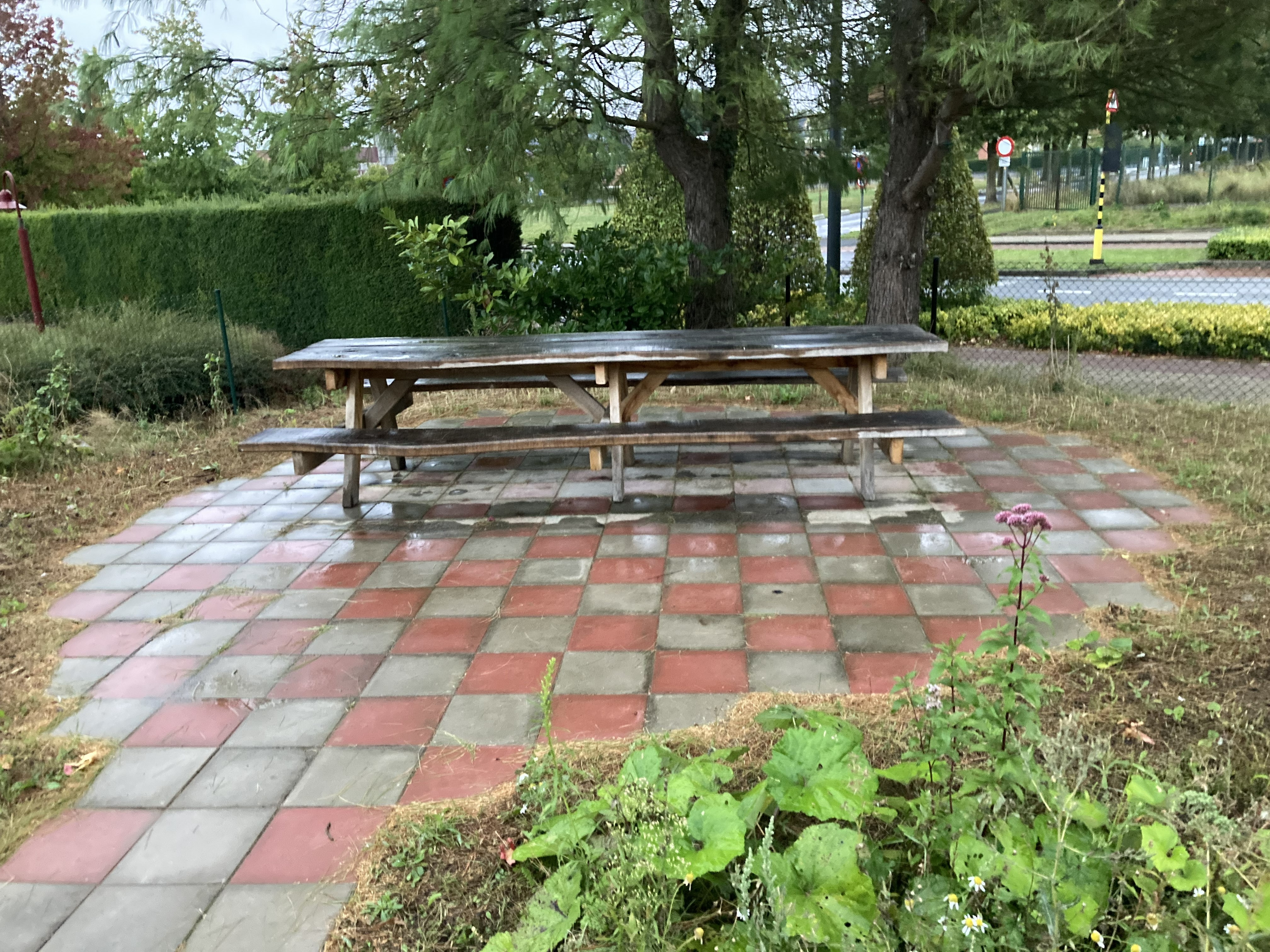 CAR Glorieux eerste groeiseizoen sept 25